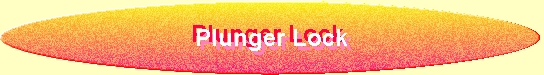 Plunger Lock